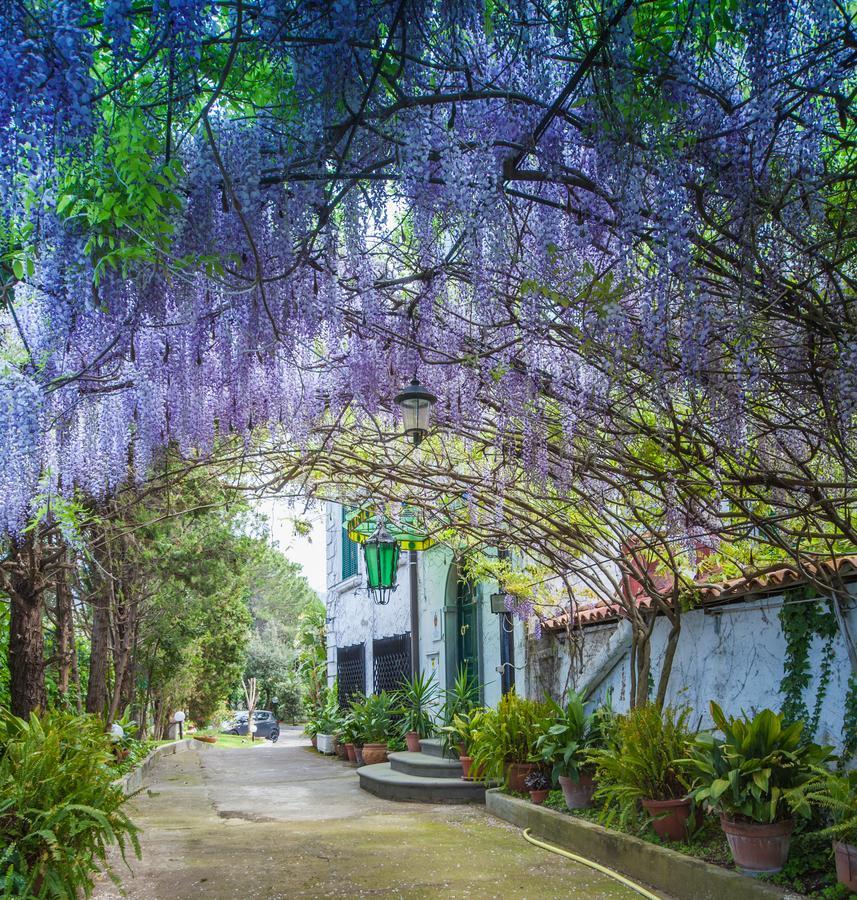 卡西纳格祖塔住宿加早餐旅馆 托雷德尔格雷科 外观 照片